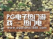 种植基地七