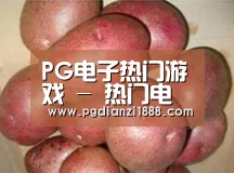 产品展示标题1