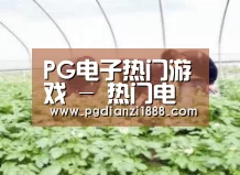 种植基地三