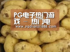 产品展示标题6