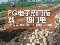 种植基地七(图1)