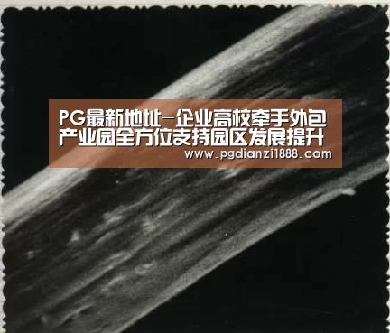 PG最新地址-企业高校牵手外包产业园全方位支持园区发展提升(图1) PG最新地址