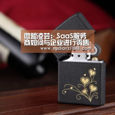 微盟凌芸:SaaS服务商如何与企业进行零售数字化建设匹配|PG麻将APP下载(图2) PG电子热门游戏