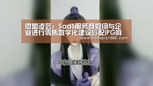 微盟凌芸:SaaS服务商如何与企业进行零售数字化建设匹配|PG麻将APP下载(图1) PG麻将APP下载