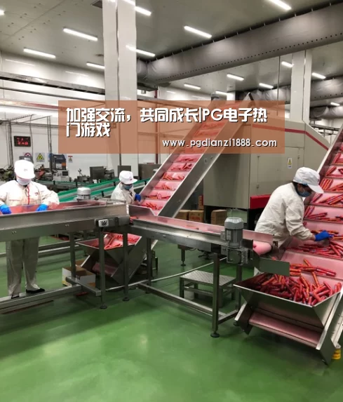 PG电子热门游戏