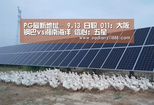 PG最新地址-
9.13 日职 011:大阪钢巴vs湘南海洋 信心:五星(图4) PG麻将APP下载