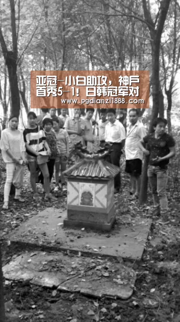 PG麻将娱乐